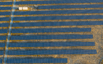 Solar Panel Farm with Labels